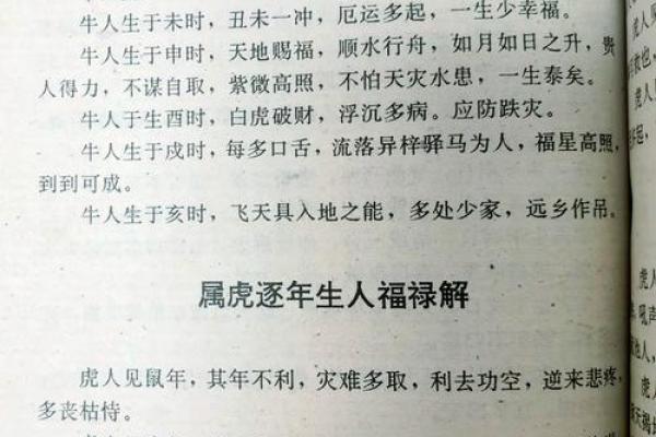 上午10点出生的属虎男孩如何起名，宜用什么字姓名
