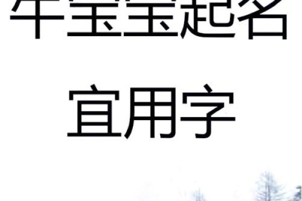 晚上1点出生的属牛男孩宜用什么字取名姓名