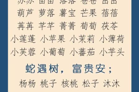 2月份出生的属蛇男孩适合取什么名字姓名