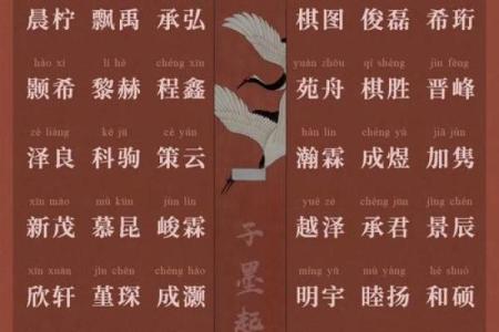 2019年3月19号未时出生的男孩起名时要注意什么姓名